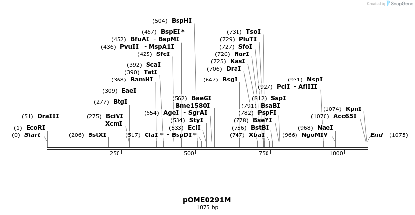 353541_map