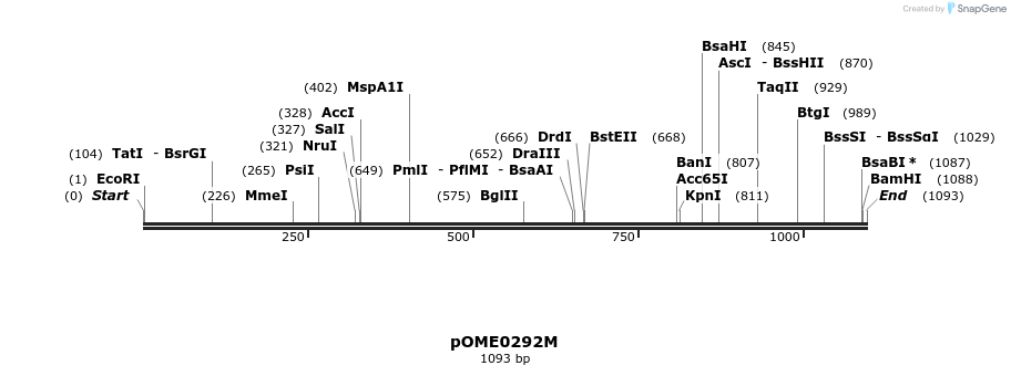 353542_map