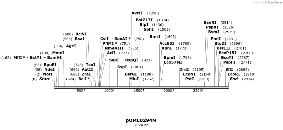 353544_map