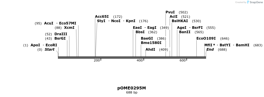 353545_map