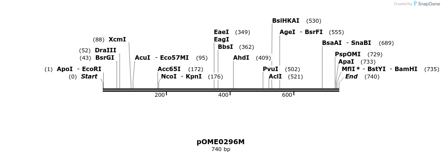 353546_map
