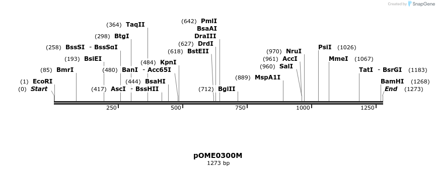 353549_map