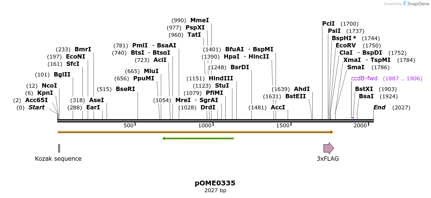 353551_map