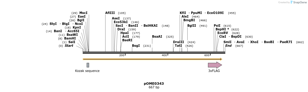 353553_map
