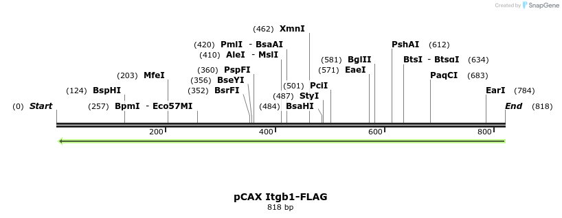 35366_map