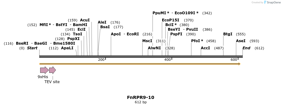 353684_map