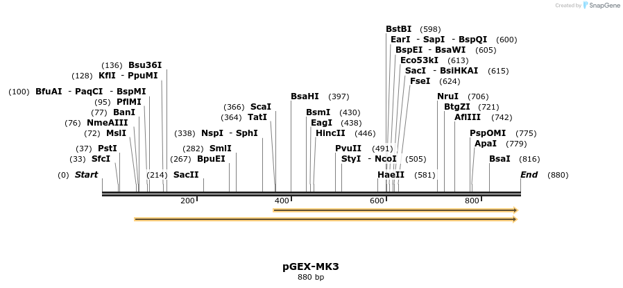 35369_map