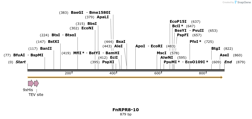 353691_map