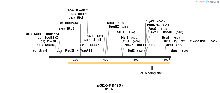 35370_map