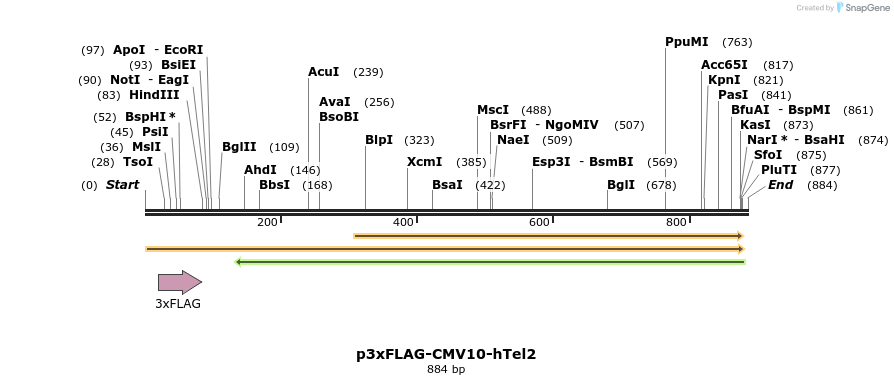 35372_map
