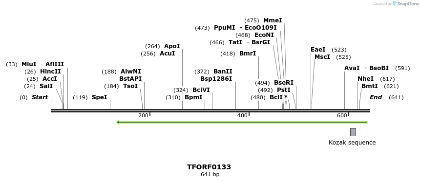 353721_map