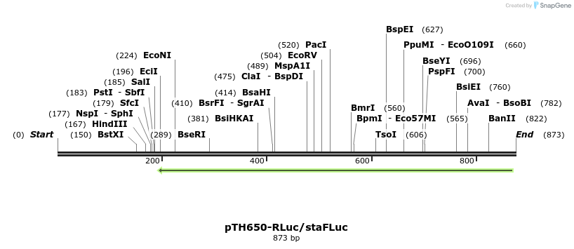 35375_map