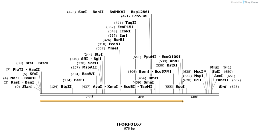 353758_map