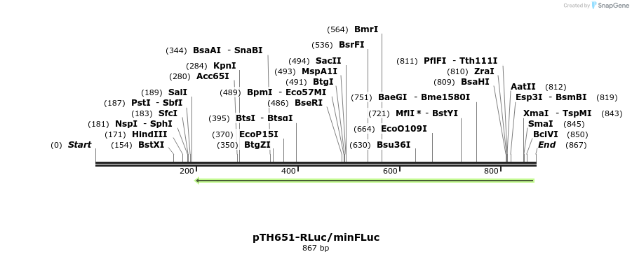 35376_map