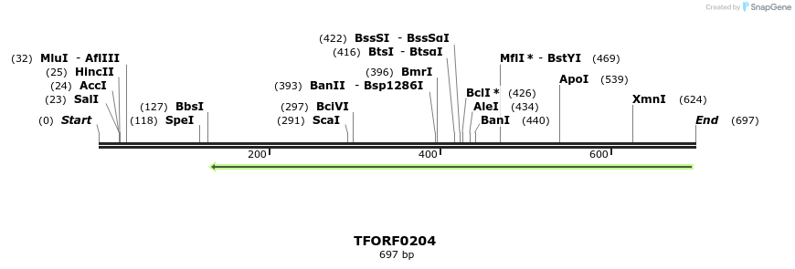 353761_map