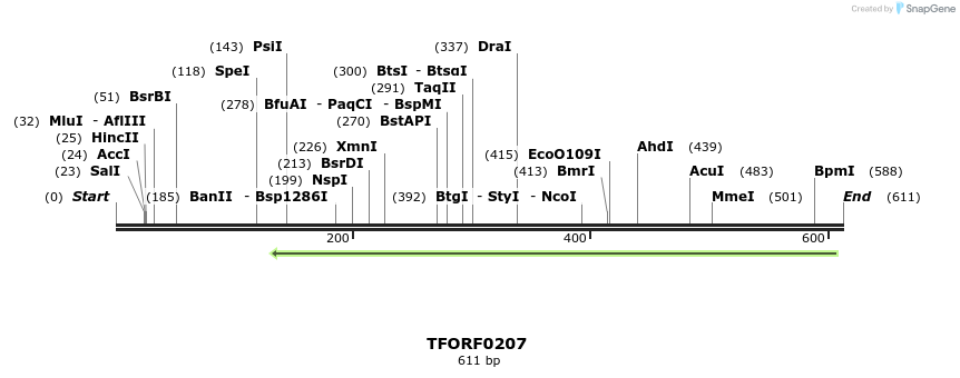 353765_map