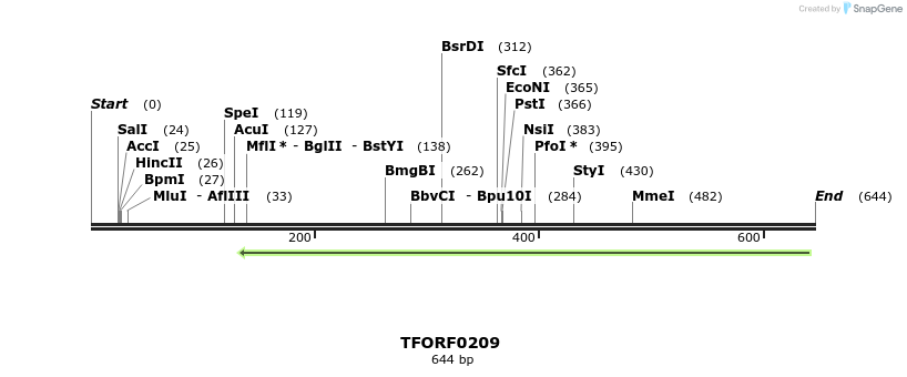 353767_map
