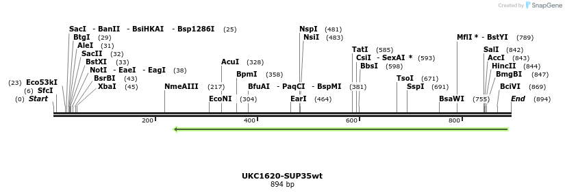 35379_map