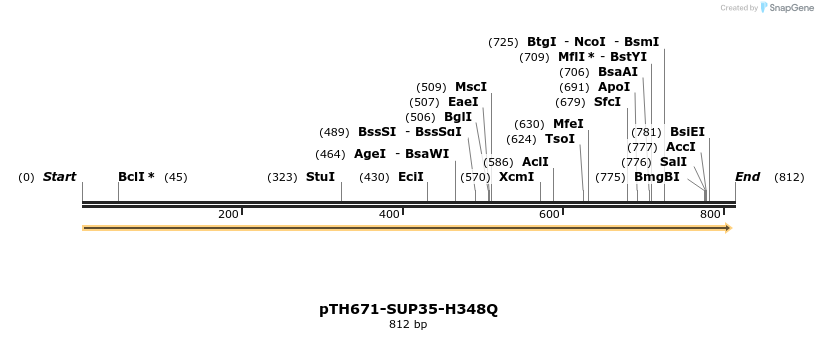 35381_map