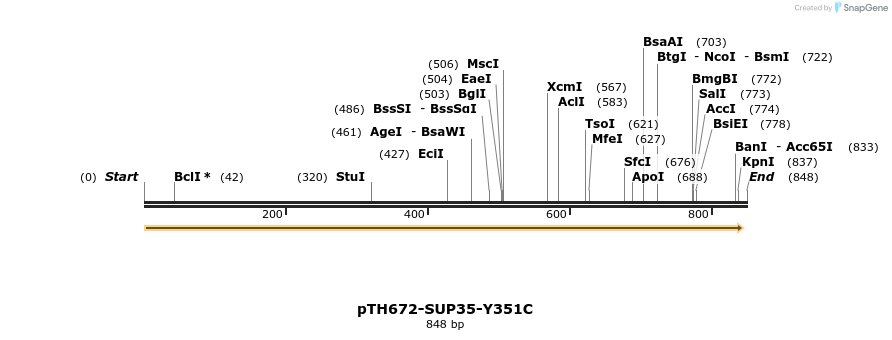 35382_map