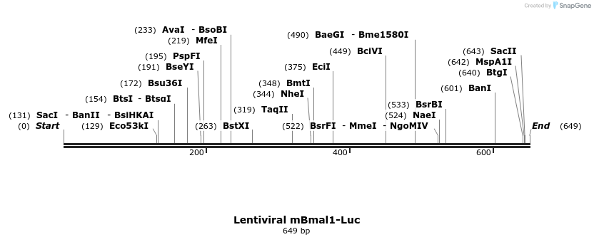 353895_map