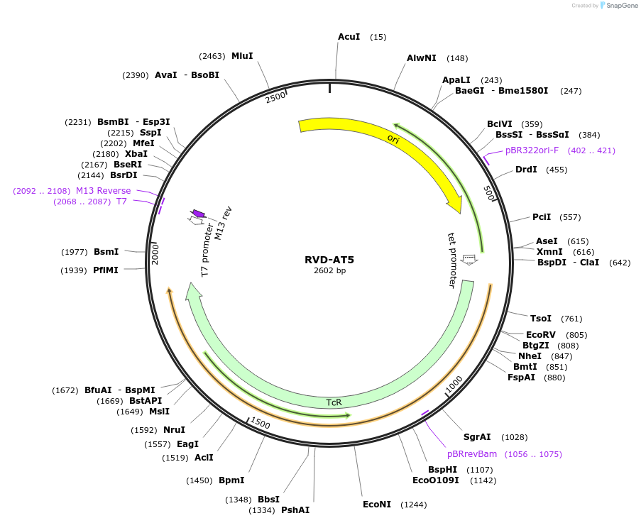 353897_map
