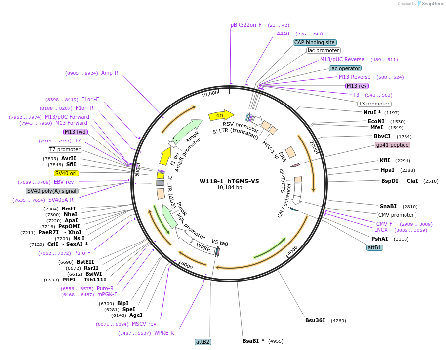 353900_map