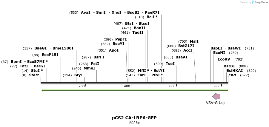 35391_map