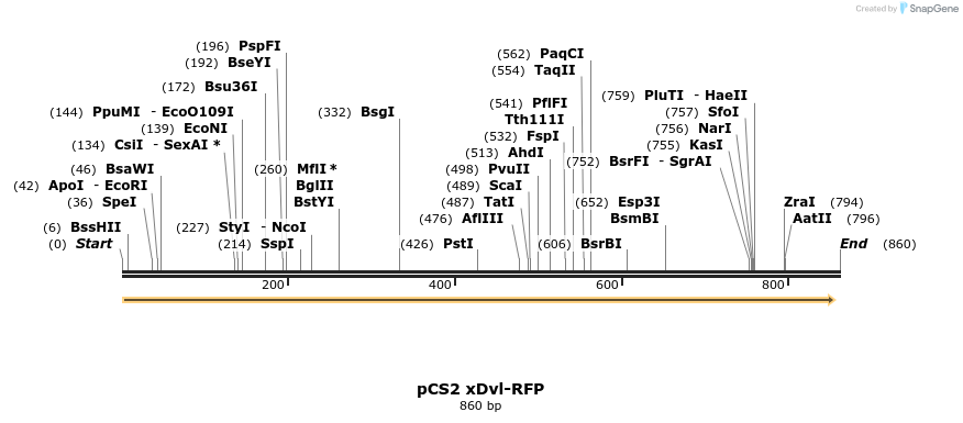 35392_map