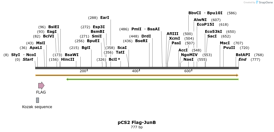 35394_map