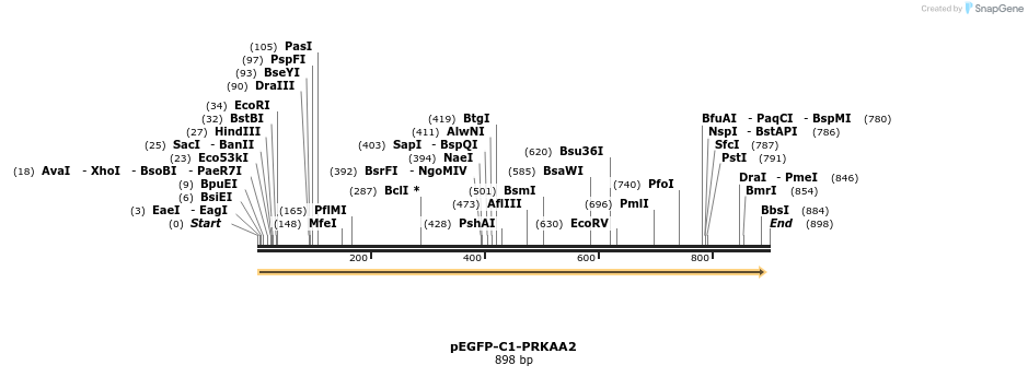 35400_map