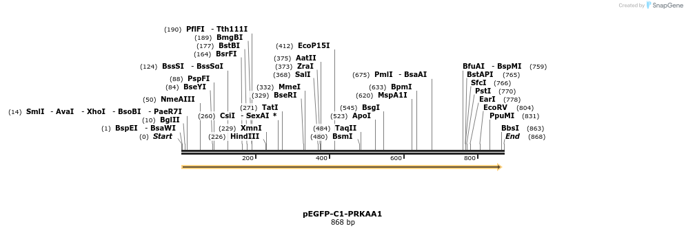 35401_map