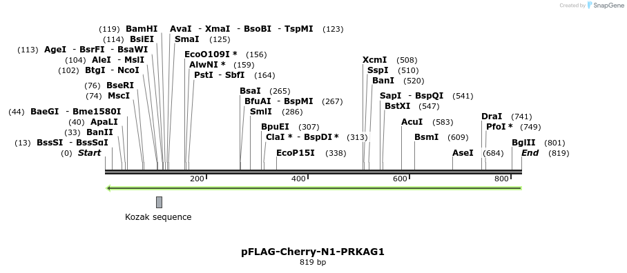 35404_map