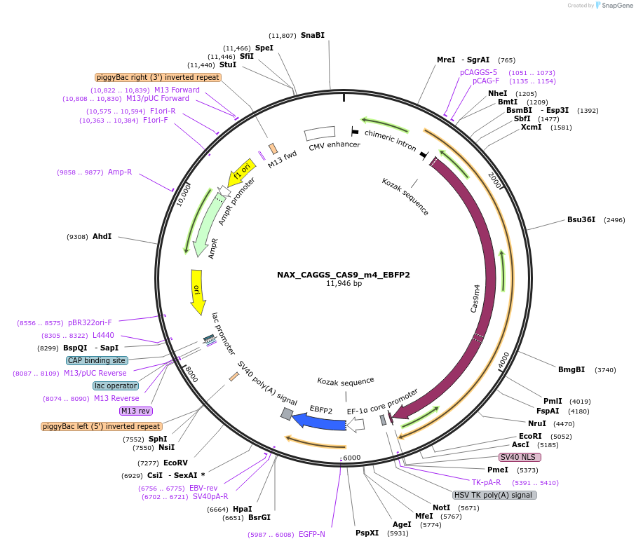 354051_map