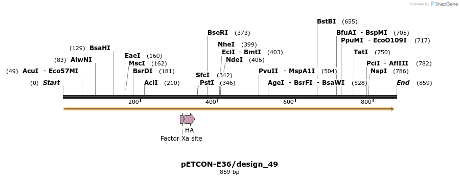 35408_map