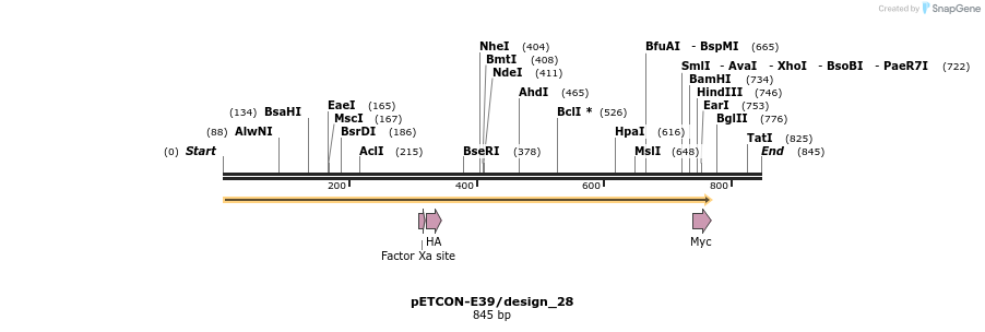35410_map
