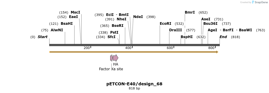 35411_map
