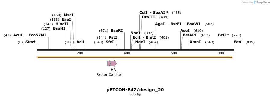 35416_map