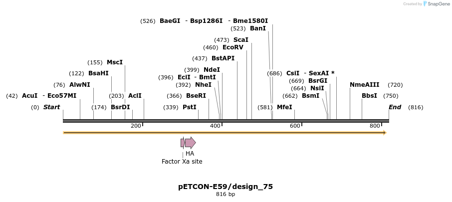 35420_map