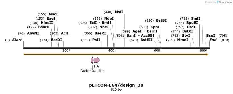 35422_map