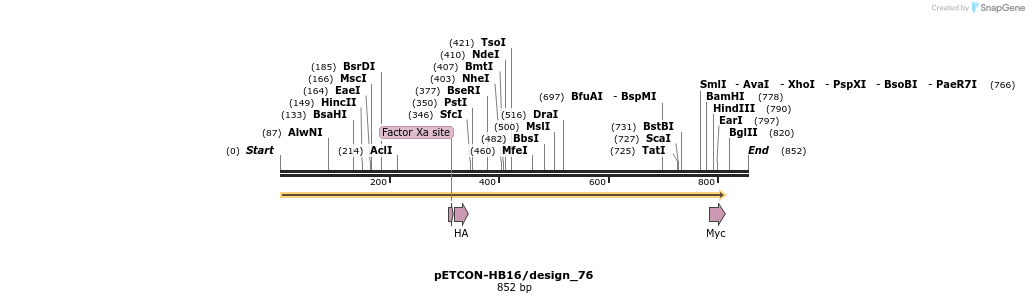 35427_map