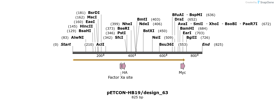 35428_map