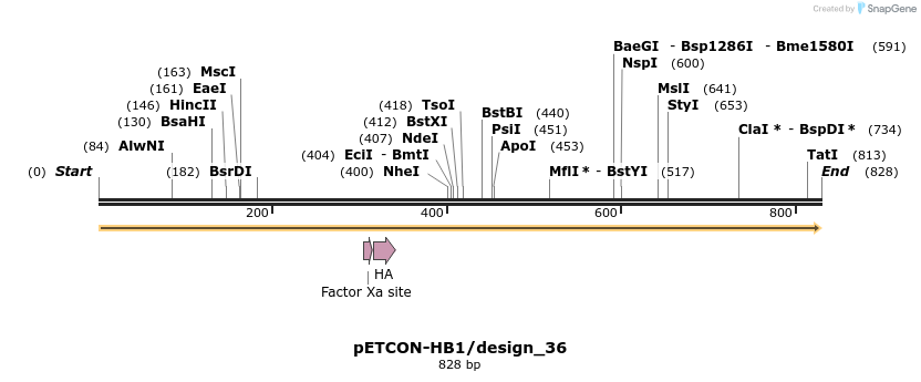 35430_map