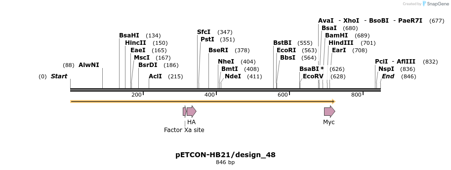 35431_map