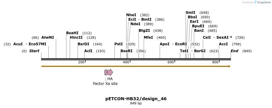 35437_map