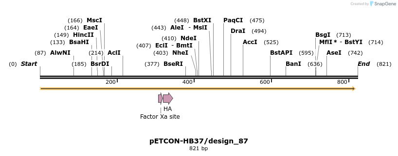 35438_map
