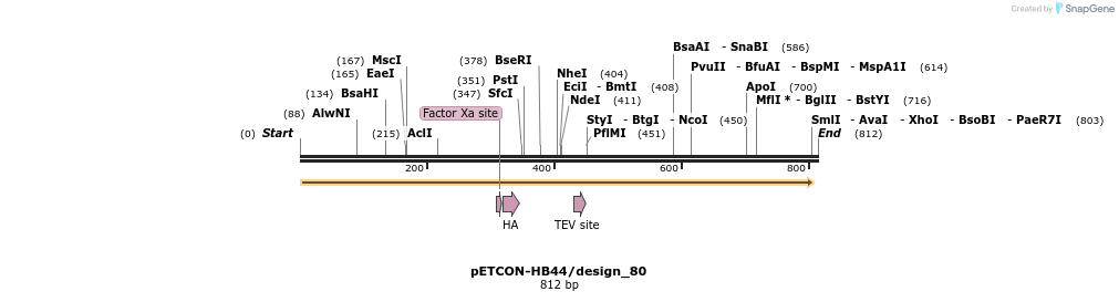 35442_map