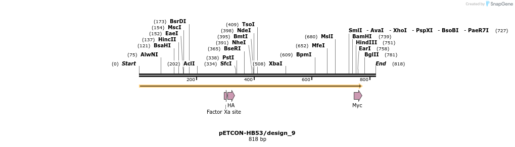 35447_map
