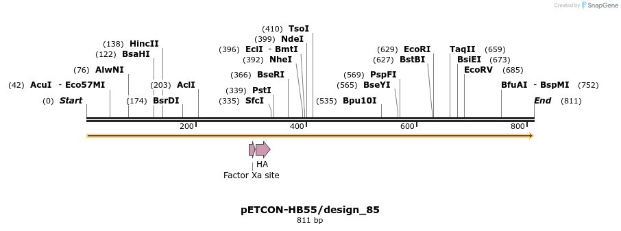 35449_map