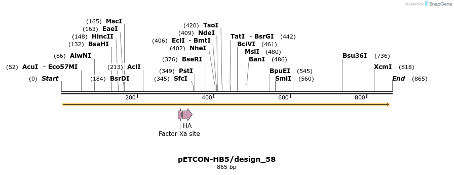 35451_map